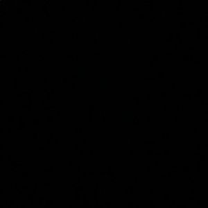 Meet your Posher, Guadalupe